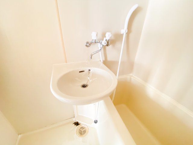 エクラ平野の洗面所