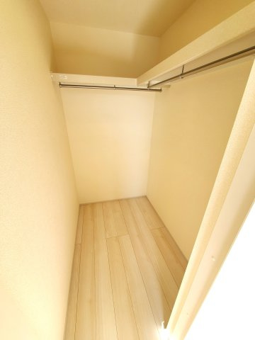 三郷市　天神1丁目　新築戸建　全1棟の収納|施工例です