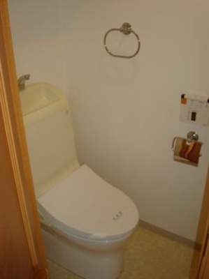 【トイレ】 | KDXレジデンス錦糸町 | 落ち着いた色調のトイレです