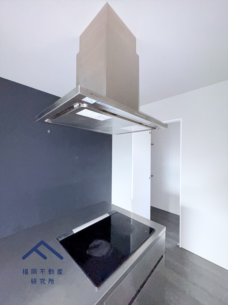 城南区南片江５丁目　戸建ての独立洗面台