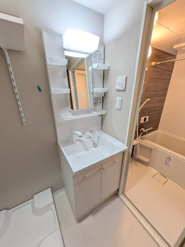 クレールメゾン大瀬戸の洗面所