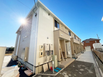 ガジュマルの画像