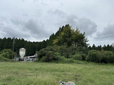 【庭】 | 阿蘇郡高森町大字永野原