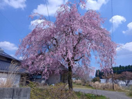 阿蘇郡高森町大字永野原の画像