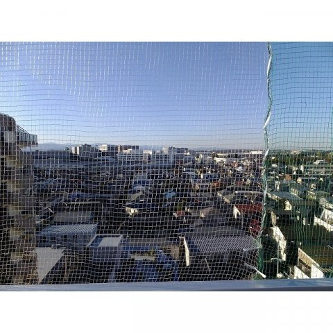 インディビレッジのその他