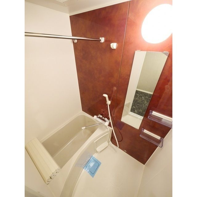 ウェルスクエアイズム文京小日向の浴室