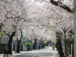 【展望】 | 中区本牧三之谷貸家