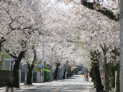 【展望】 | 中区本牧三之谷貸家
