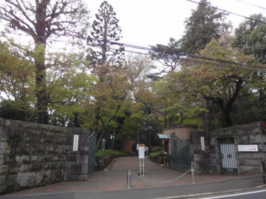 私立白百合女子大学まで791m