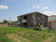 Carinopenseeの画像