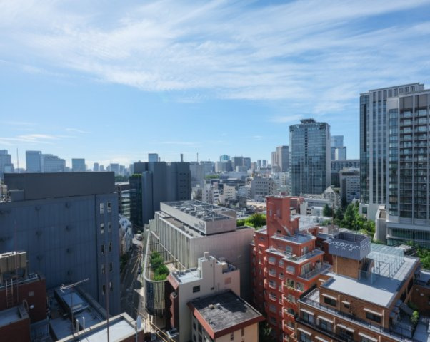 パークハウス平河町の展望