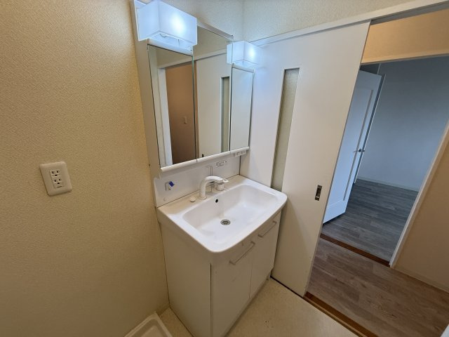 エバーグリーンハイツの独立洗面台