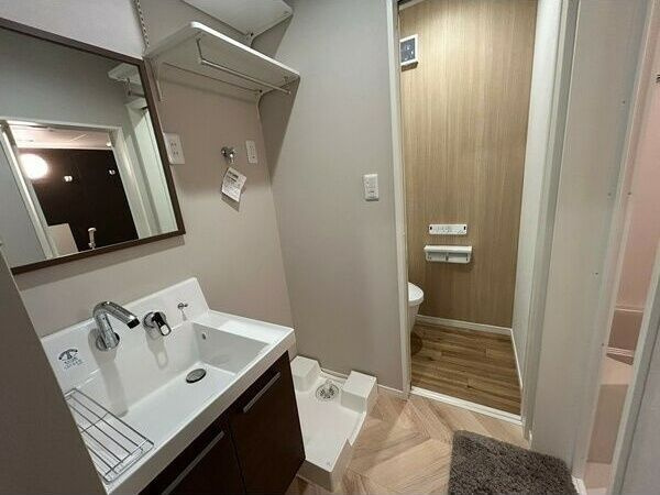 プロスパーコート桃谷の洗面所