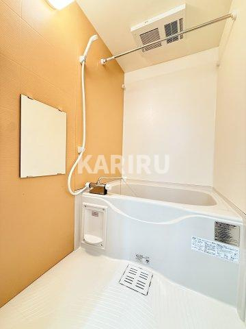 フジパレス　リュクスの浴室