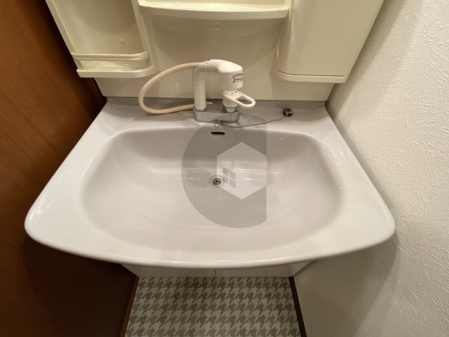 ブランチ613の洗面所