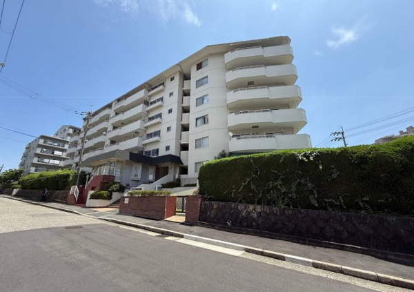 緑丘コータースの画像