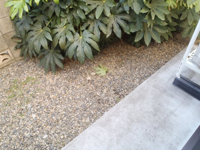 【展望】 | サン・ボヌール春日町