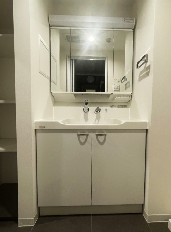 ルミナス八潮参番館の独立洗面台