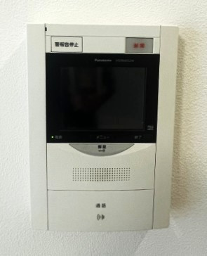 ルミナス八潮参番館のセキュリティ