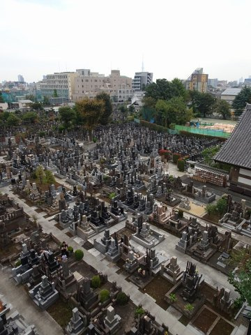 コルク本駒込の展望