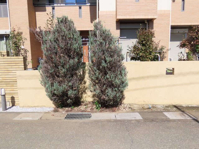 【展望】 | 川越市笠幡新築戸建　