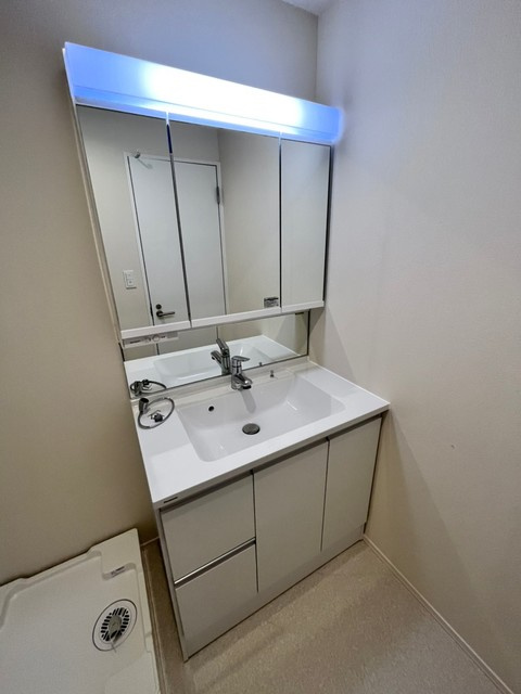 ＲＩＣＫＹ浜田山の洗面所