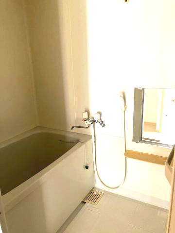 アドバンス21の浴室