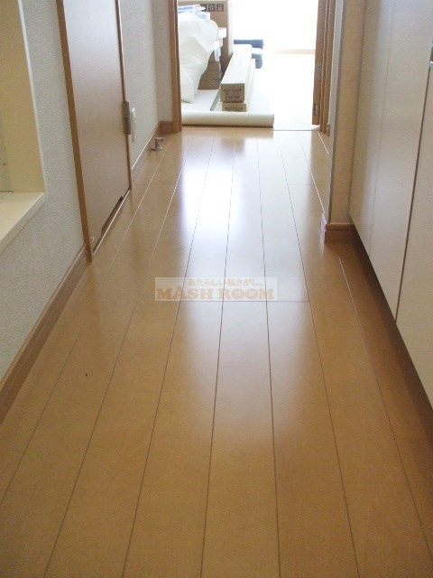 エルソル阿佐ヶ谷Ⅱの内装