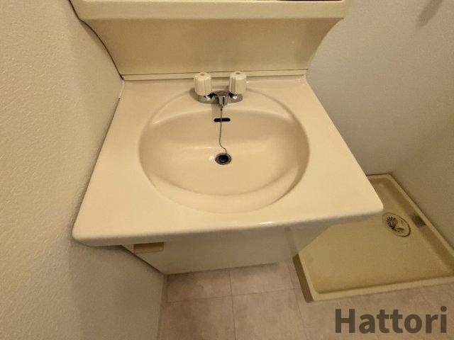 ドムール三国の洗面所