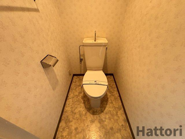 ドムール三国のトイレ