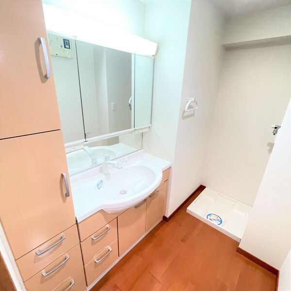 センチュリー富士見の洗面所