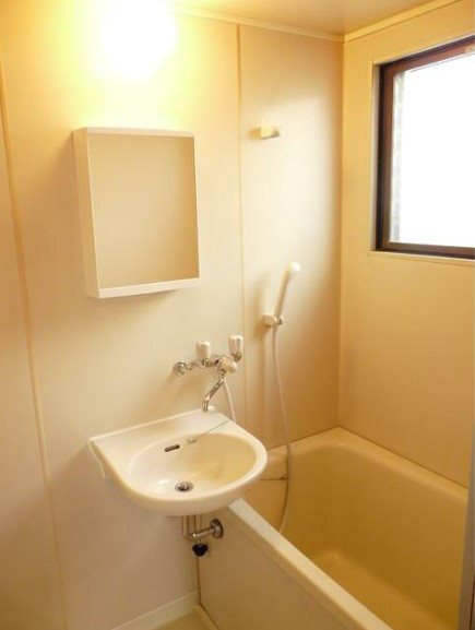 ローヤル上鷺の洗面所