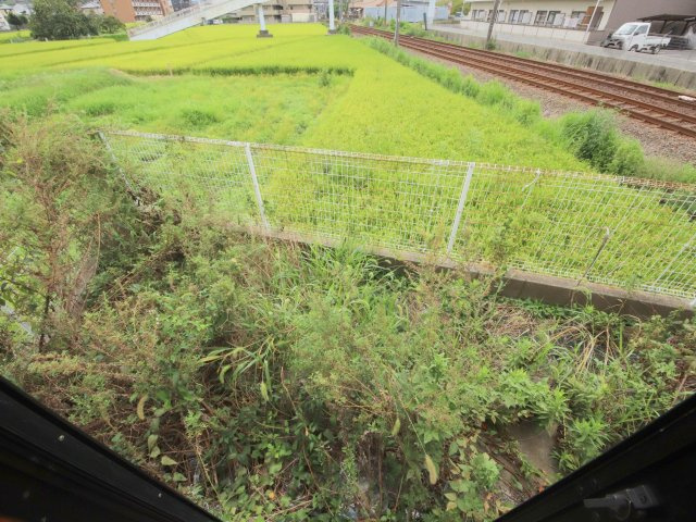 生駒市壱分町のテラスの庭