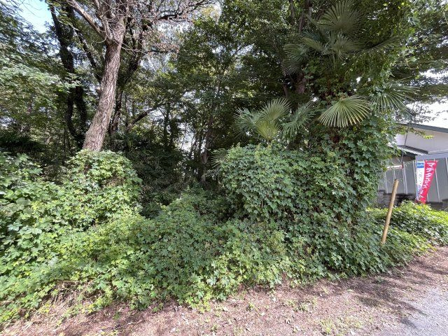 資材置き場用地　日高市森戸新田の外観