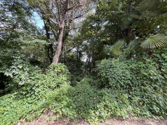 資材置き場用地　日高市森戸新田の外観