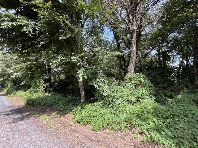 資材置き場用地　日高市森戸新田の外観