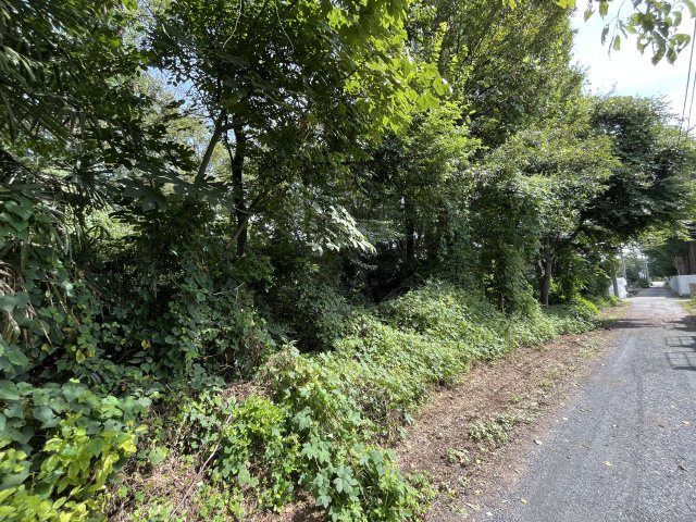 資材置き場用地　日高市森戸新田の外観