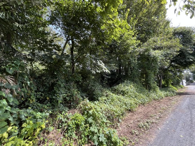 資材置き場用地　日高市森戸新田の外観