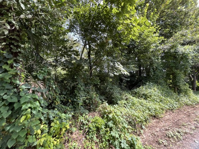 資材置き場用地　日高市森戸新田の外観