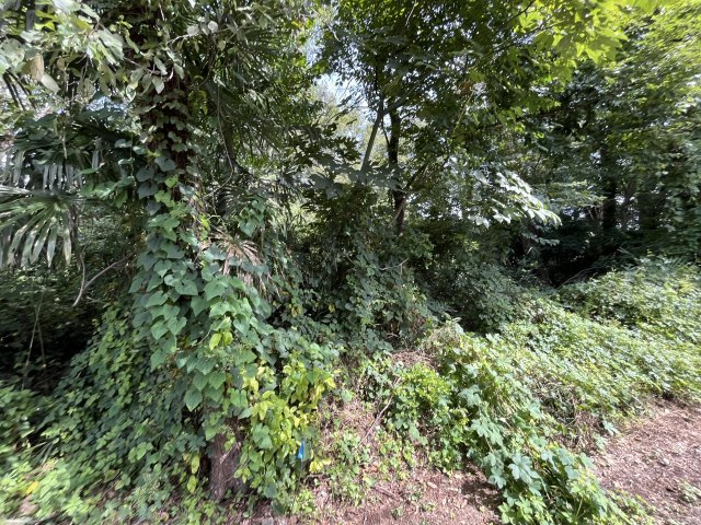 資材置き場用地　日高市森戸新田の外観