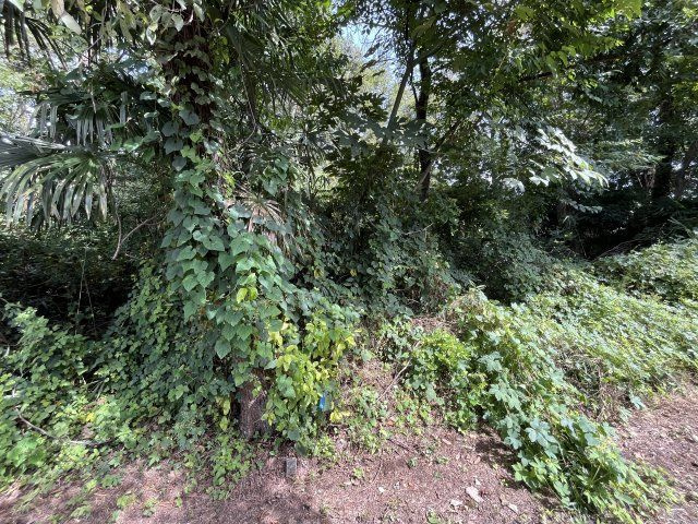 資材置き場用地　日高市森戸新田の外観