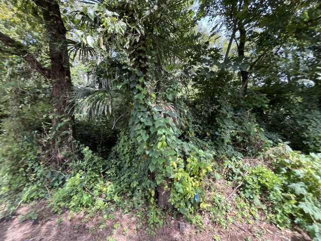 資材置き場用地　日高市森戸新田の外観