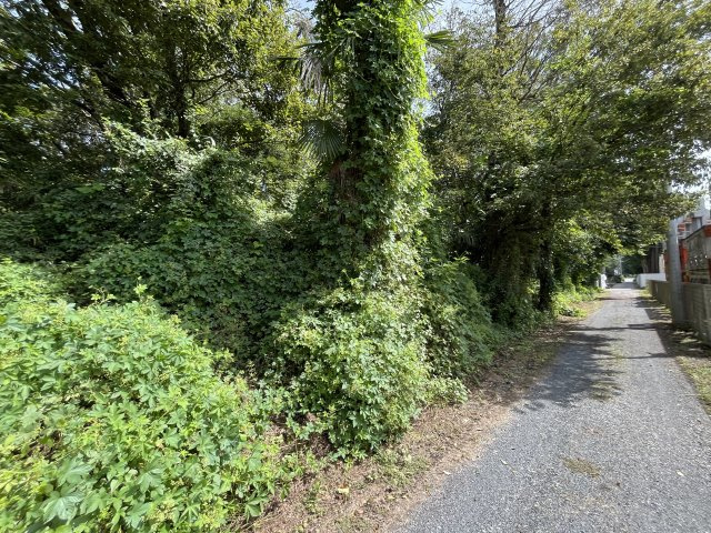 資材置き場用地　日高市森戸新田の外観