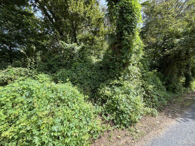 資材置き場用地　日高市森戸新田の外観