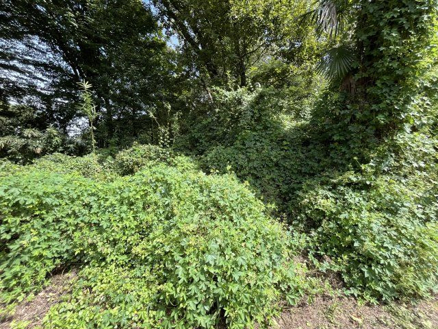 資材置き場用地　日高市森戸新田の外観