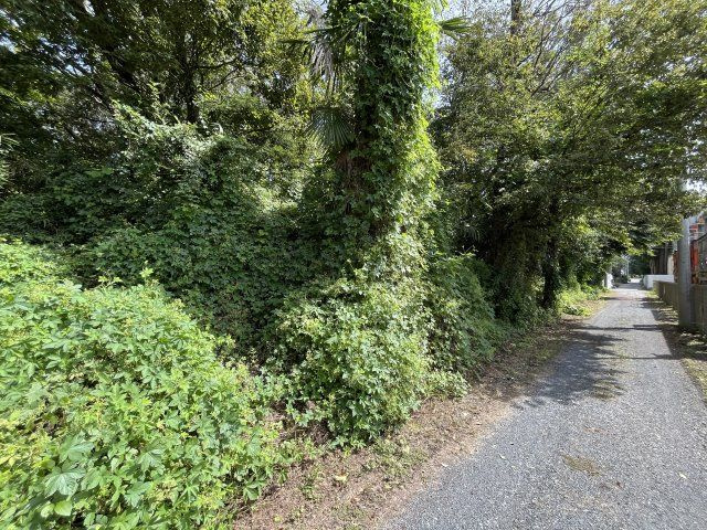 資材置き場用地　日高市森戸新田の外観