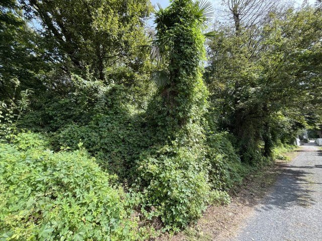 資材置き場用地　日高市森戸新田の外観