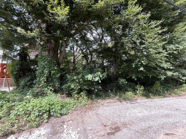 資材置き場用地　日高市森戸新田の外観