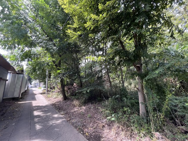 資材置き場用地　日高市森戸新田の外観