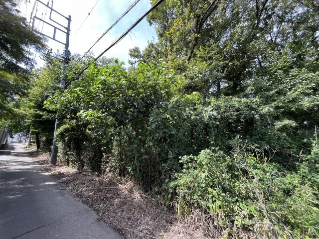 資材置き場用地　日高市森戸新田の外観